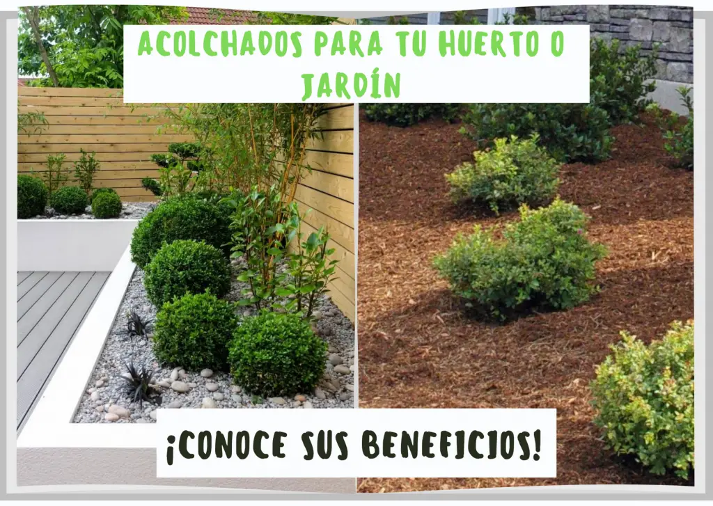 Acolchados para las plantas